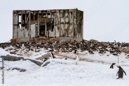 Views of the Chilean inactive research base Gonzalez Videla on Waterboat Point in Paradise Bay, Antarctica, Polar Regions