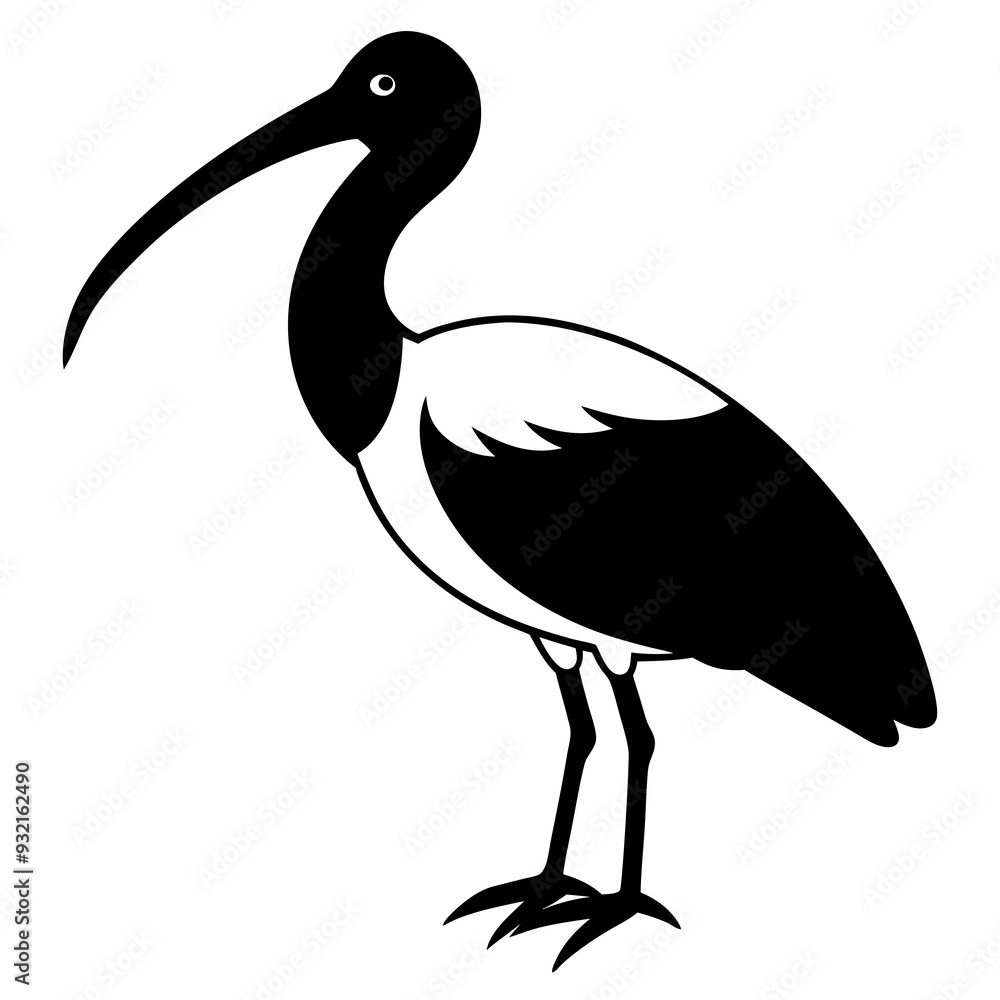 Fototapeta premium Ibis bird black vector silhouette illustration