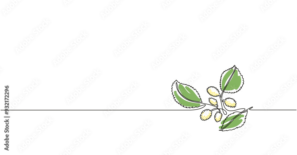 Simple vector illustration with the branch of white mulberry. Outline art with mulberry. Simple vector illustration with the branch of white mulberry. Outline art with mulberry.
