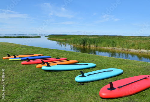 Colorful Surf boards laying on green grass photo