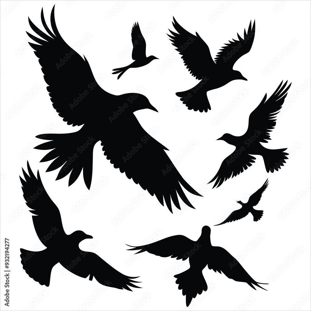 Set of Bird silhouettes. Vector elements for design. Set of Bird silhouettes. Vector elements for design.