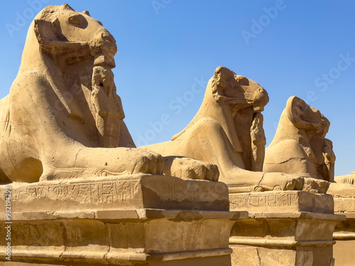 Photos Embark on a magical journey through Karnak's Avenue of the Sphinxes, an ancient Egyptian thoroughfare adorned with mysterious statues