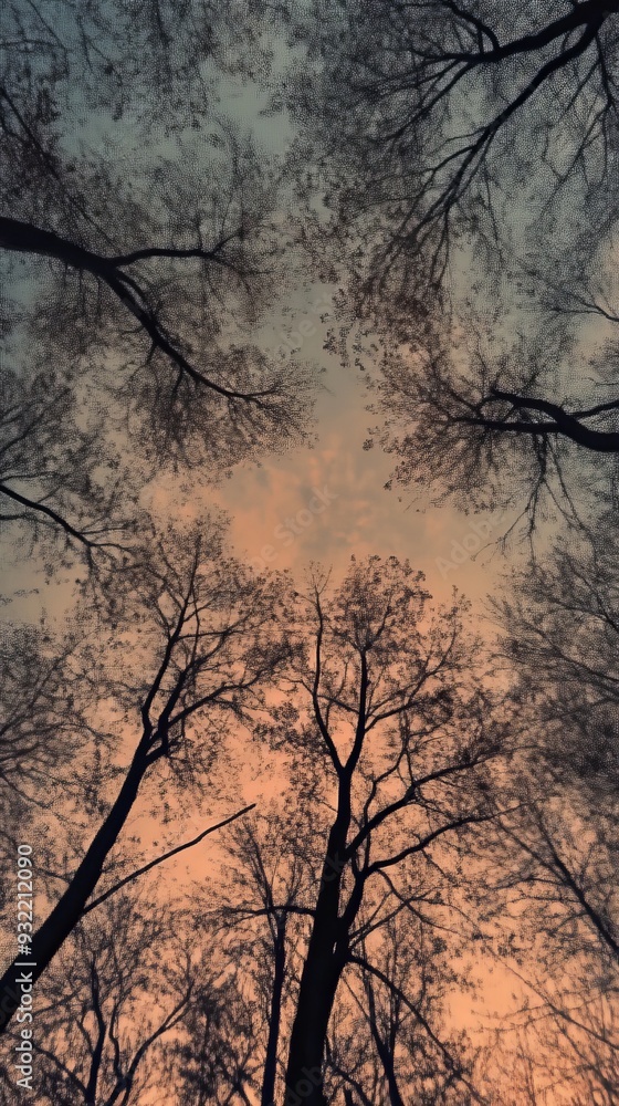 Silhouetted bare trees against a sunset sky Silhouetted bare trees against a sunset sky