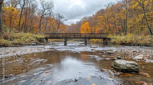 Wallpaper Mural   Wooden bridge crossing stream, surrounded by tree-filled forest, yellow/orange leaf ground Torontodigital.ca