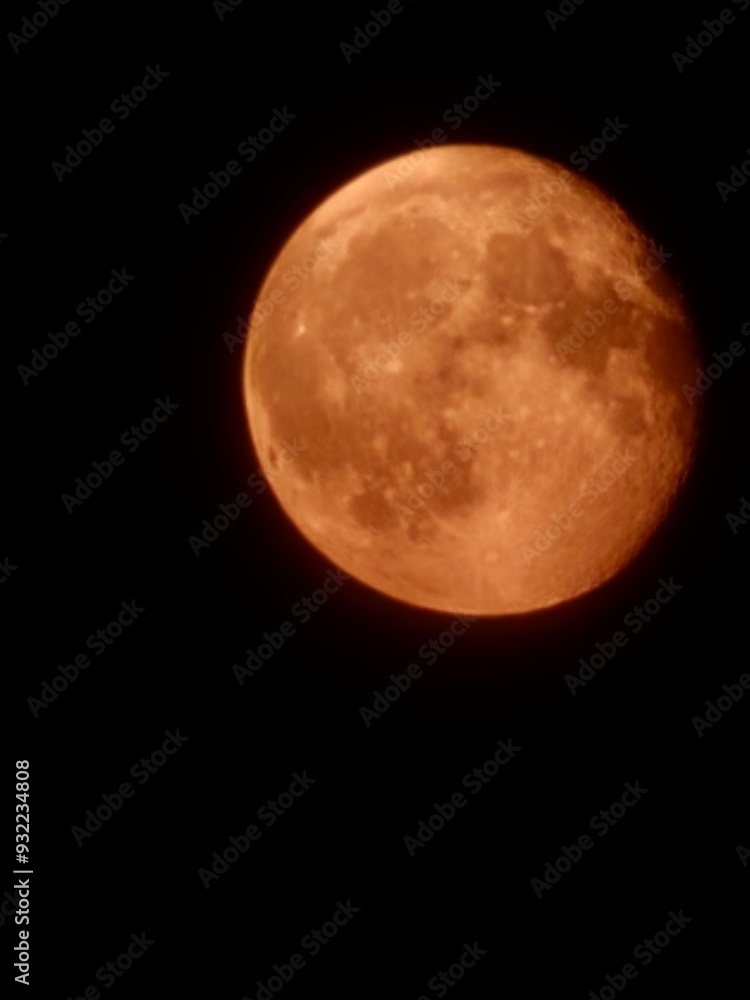 Fototapeta premium full moon
