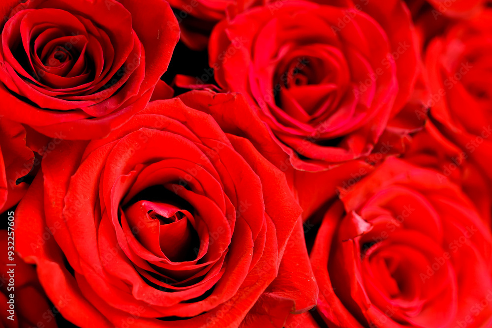 Defocused bunch of red roses patterned as red background Defocused bunch of red roses patterned as red background