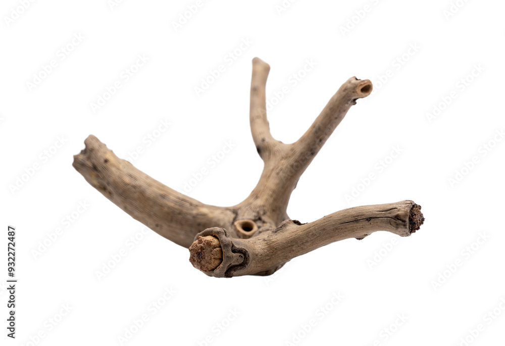 Fototapeta premium A dynamic driftwood piece with intricate twists and a smooth texture isolated on transparent background