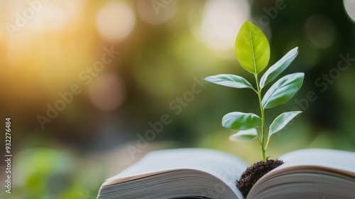 A small plant grows from an open book in a sunlit garden setting
