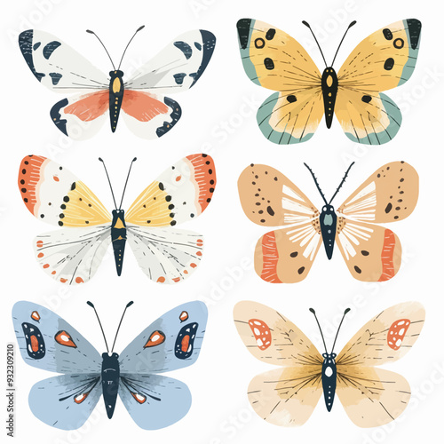 Vector Butterfly simple and minima