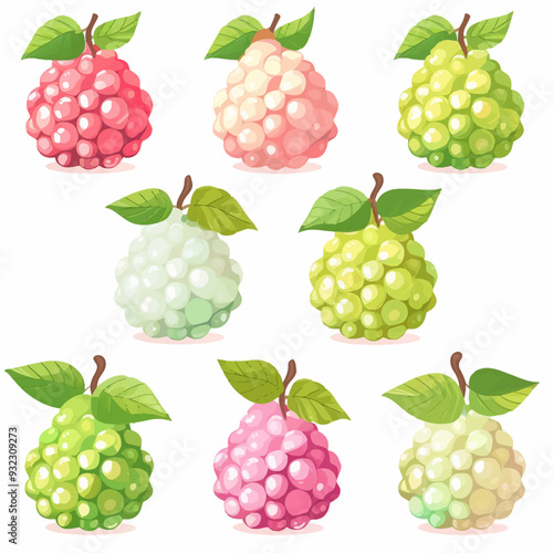 Vector Custard Apple simple and mi