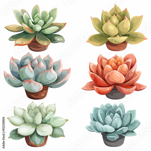 Vector Echeveria simple and minima
