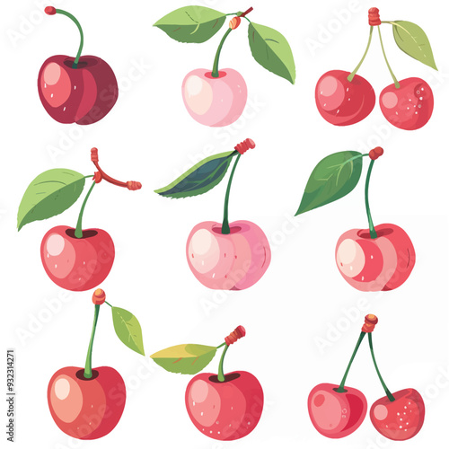 Vector Cherry simple and minimalis