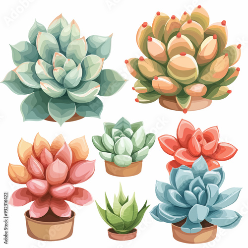 Vector Echeveria simple and minima