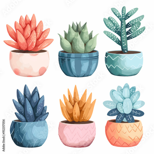 Vector Haworthia simple and minima