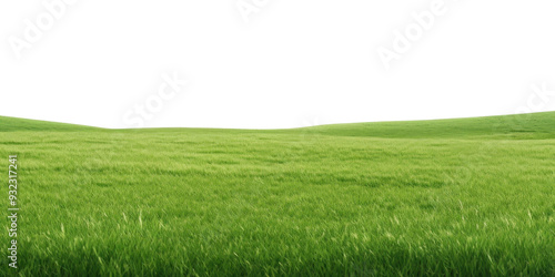 PNG Vast green field under sky