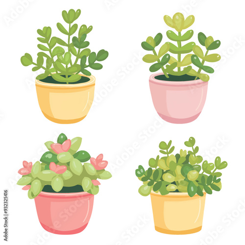 Vector Jade Plant simple and minim