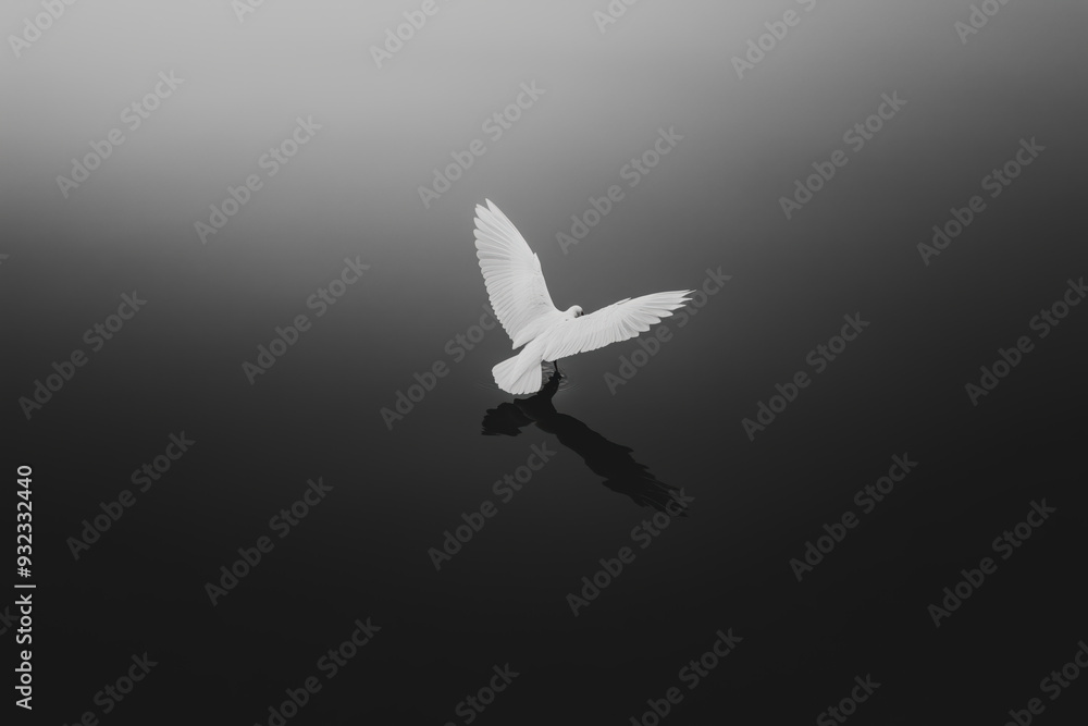 Obraz premium A white bird is flying in the sky