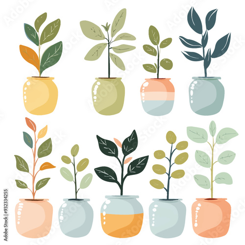 Vector Ficus in vase simple and mi