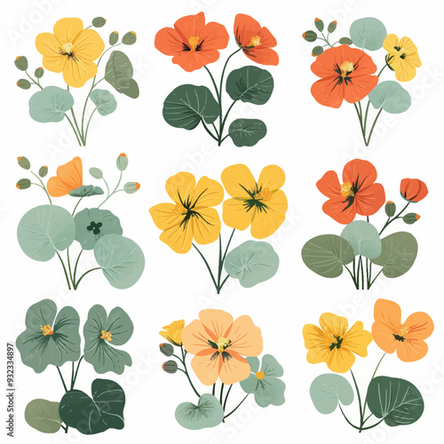 Vector Nasturtium simple and minim