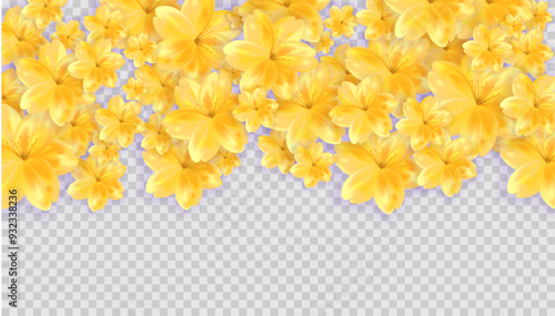 Gold yellow petals trail falling from above. Stock vector illustration isolated on transparent background. banner template.