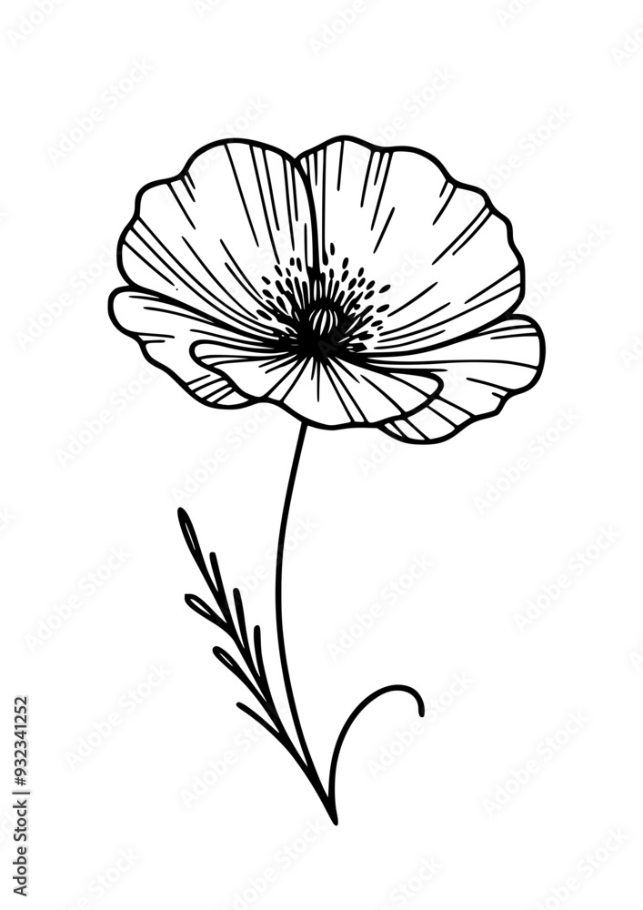Obraz premium Flowers SVG, Plant SVG, Blossom SVG, Alstroemeria SVG, Rose SVG, Camelia SVG, Poppy SVG, Lilac SVG, Hibiscus SVG, Orchid SVG, Flowers Design, Flowers Silhouette, Cut file for Cricut SVG, JPG, PNG