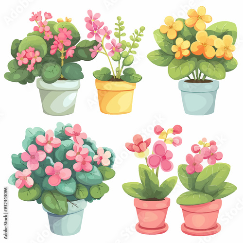 Vector Kalanchoe simple and minima