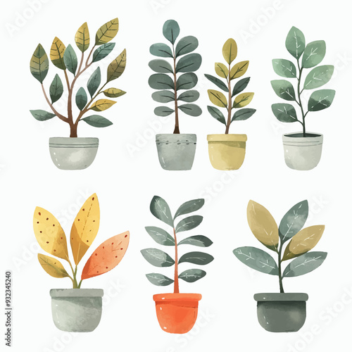 Vector Ficus simple and minimalist