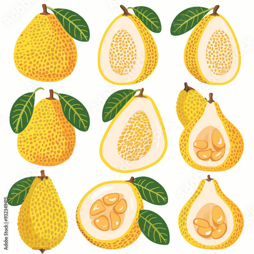 Vector Jackfruit simple and minima