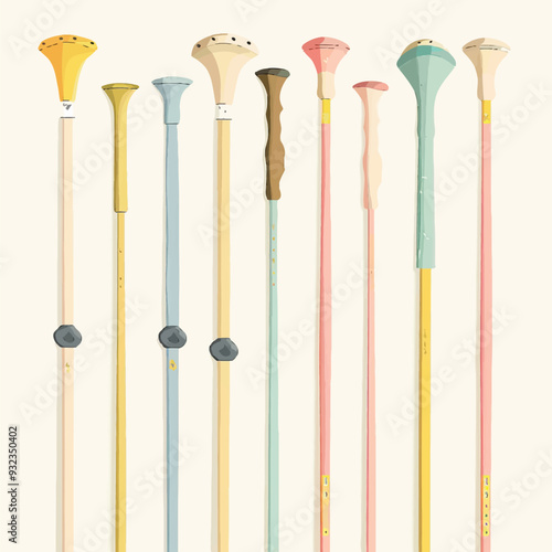 Vector Ski Poles simple and minima