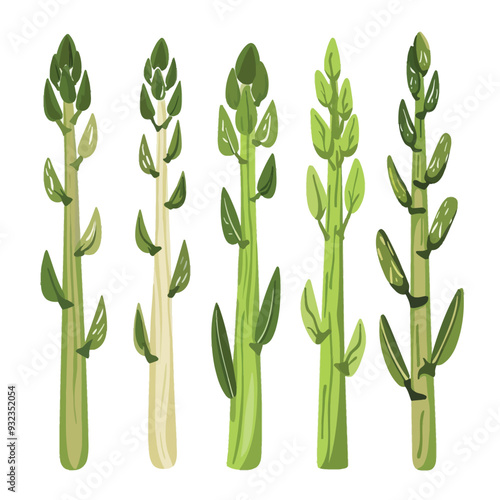 Vector Asparagus simple and minima
