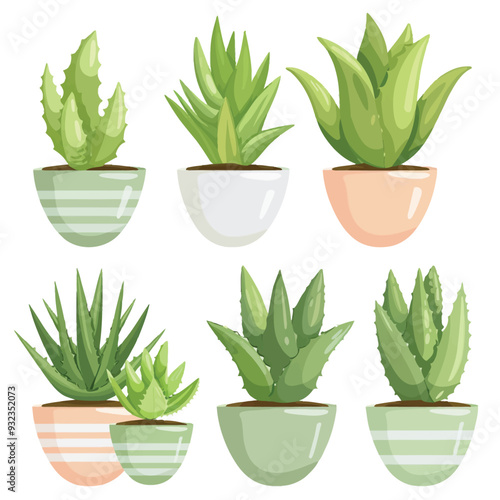 Vector Aloe Vera simple and minima