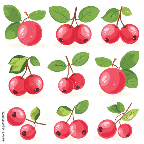 Vector Cranberry simple and minima