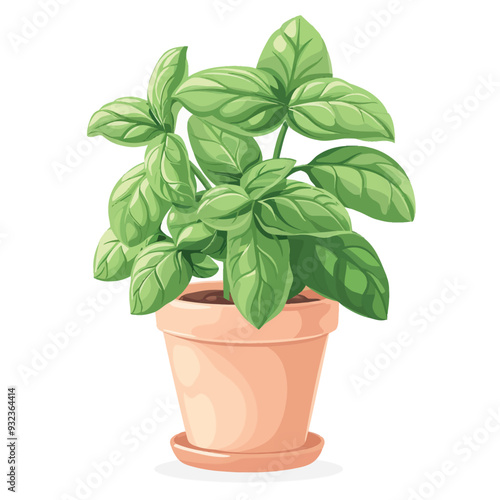 Vector Basil in vase simple and mi