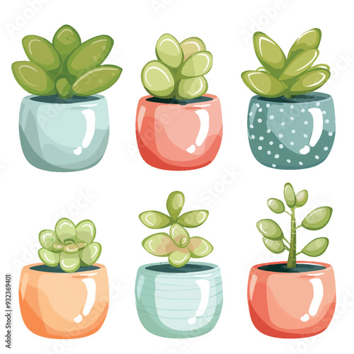 Vector Jade Plant simple and minim