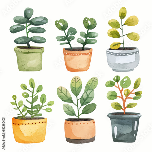 Vector Jade Plant simple and minim