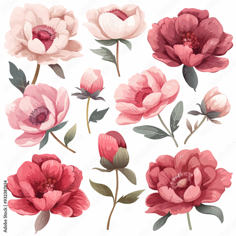 Vector Peony simple and minimalist