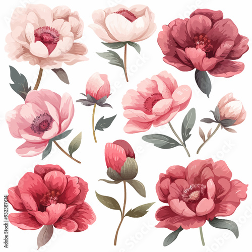 Wallpaper Mural Vector Peony simple and minimalist Torontodigital.ca