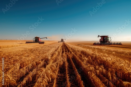 Two combine harvesters working together in a wheat field, harvesting crops