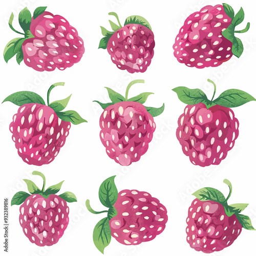 Vector Raspberry simple and minima