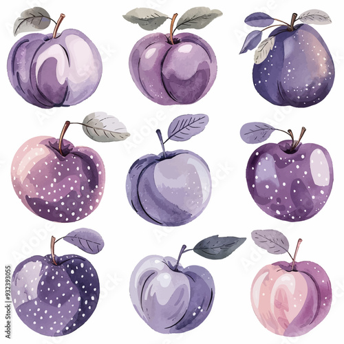 Vector Plum simple and minimalist