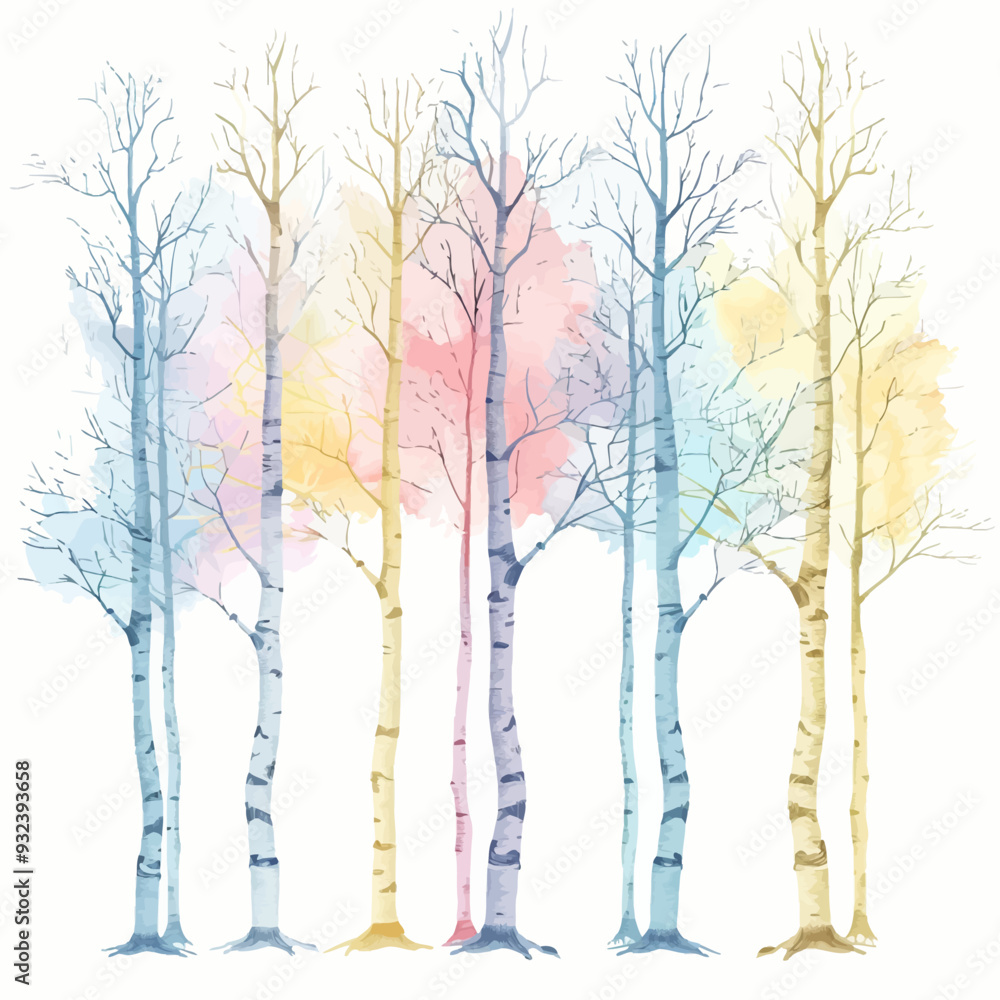Vector Birch Tree simple and minim Vector Birch Tree simple and minim