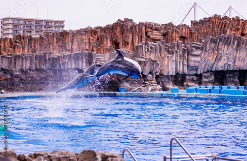 Wallpaper Mural イルカのジャンプパフォーマンス Torontodigital.ca