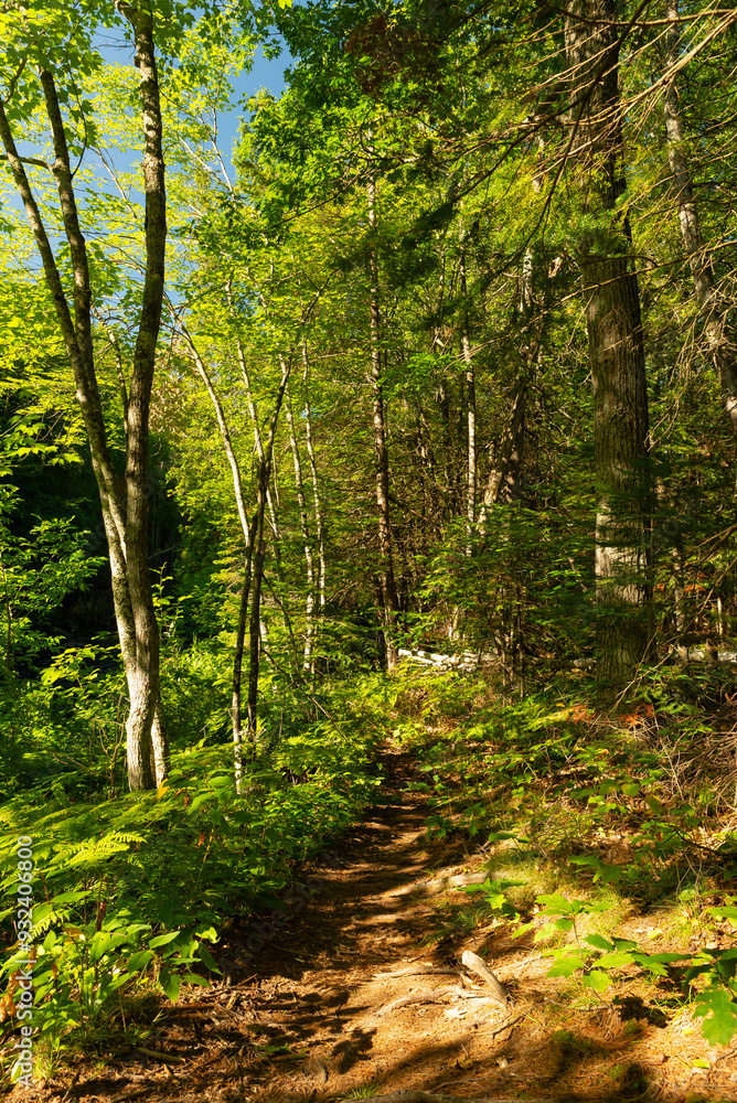 Fototapeta premium Hiking trail.