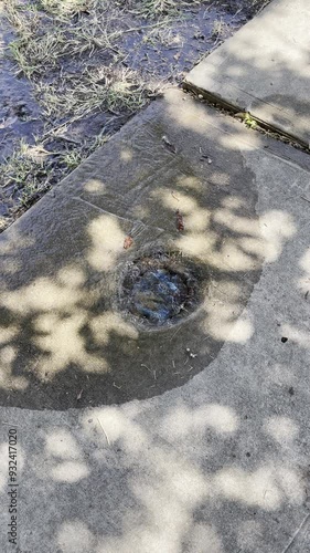 Water is bubbling up through the water meter cover and down into the street.