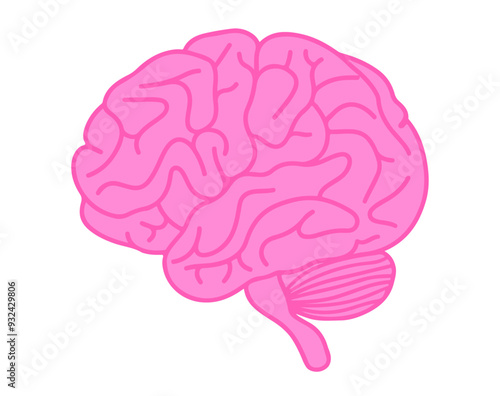 human brain illustration