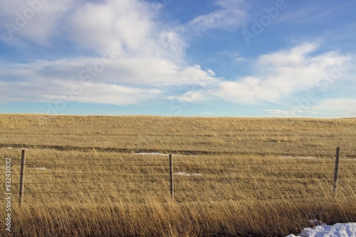 Blue sky with clouds, looking at a Montana Wheat field with a barb wire fence going across the image 
