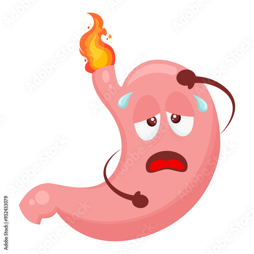 Stomach with a burning acid bile. Vector illustration in cartoon style icon
