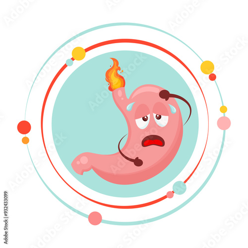 Stomach with a burning acid bile. Vector illustration in cartoon style icon