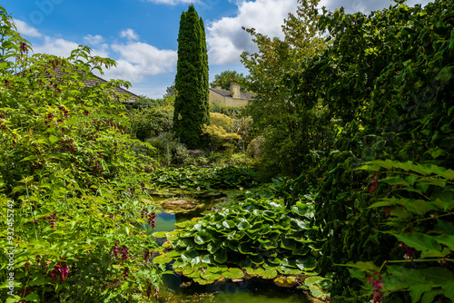 Beautiful flowers and foliage in an English garden in the middle of summer photo