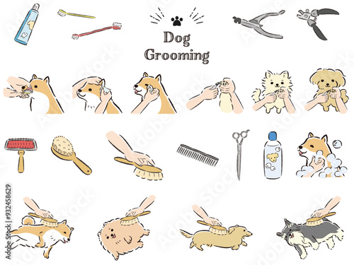 犬のケアのイラストセット